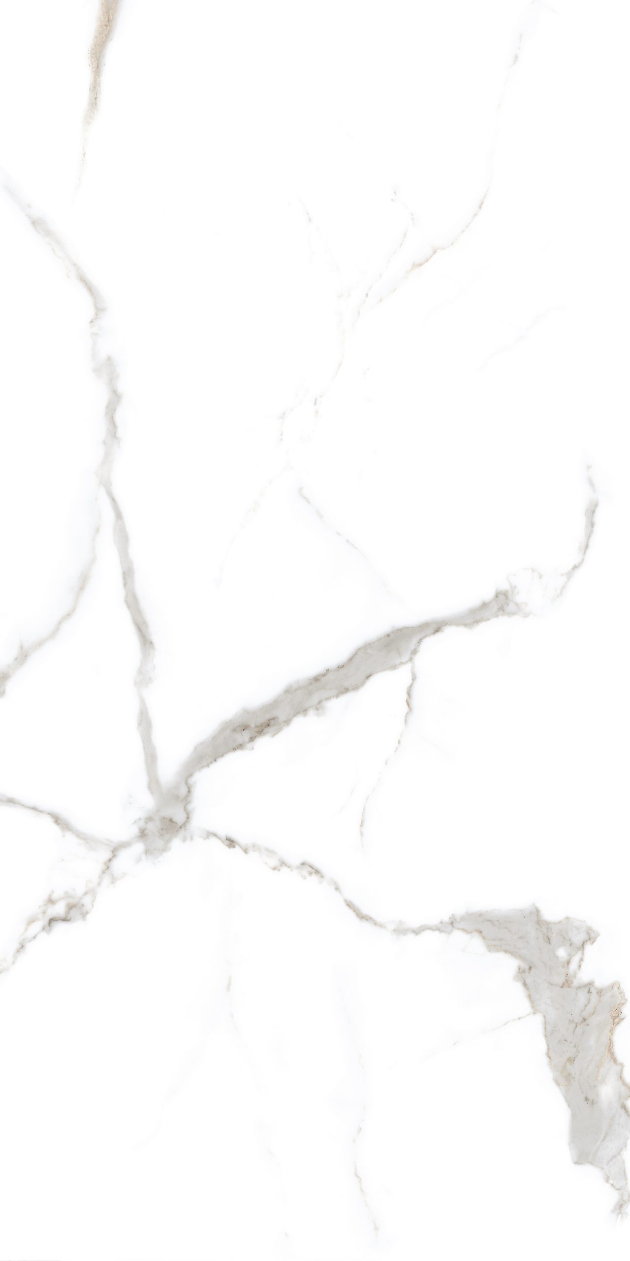 archCANOVA-WHITE-R1-1-scaled-1.jpg