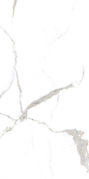 archCANOVA-WHITE-R1-1-scaled-1.jpg