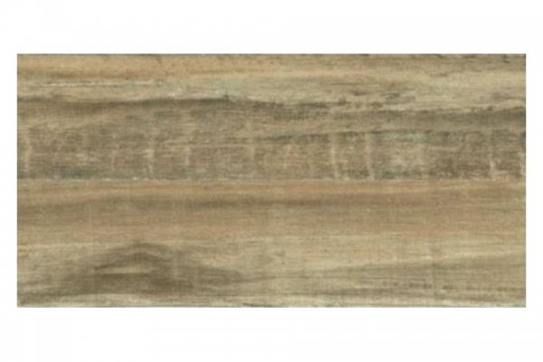 1-antiope-brown-25x50-1.jpg