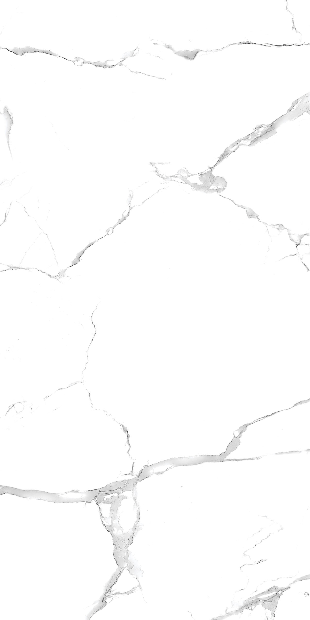arch31_ST_VENATO_SILVER_r1-scaled-1.jpg
