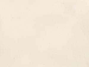 Pietra-Di-Tazza-Beige-Rect-FT-120x60-F2-RGB-300x300 | vipalati.rs