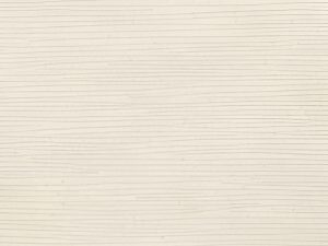 Pietra-Di-Tazza-Beige-Rilievo-Rect-FT-120x60-F2-RGB-300x300 | vipalati.rs