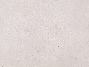 Terrazzo-Beige-Rect.-FT-120x60-F4-RGB-300x300 | vipalati.rs