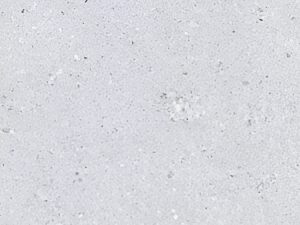 Terrazzo-Grigio-Rect.-FT-120x60-F1-RGB-300x300 | vipalati.rs