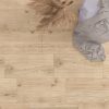 render-Tavola-Crema-30x60-Naslovna-WOOD-2022-rgb-100x100 | vipalati.rs